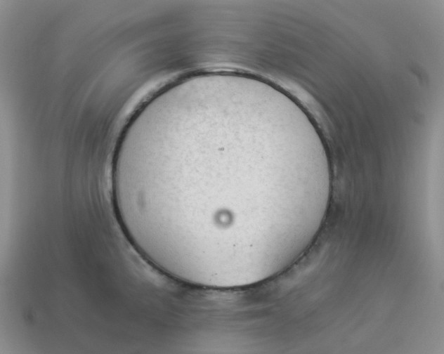 X0000113991191200910161639