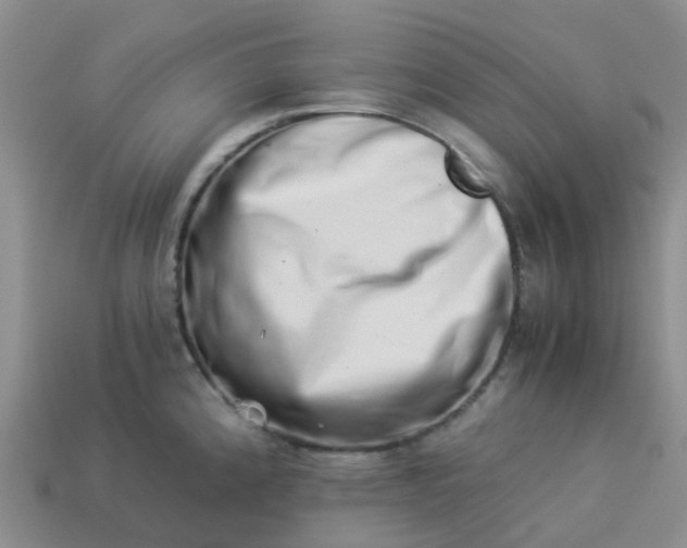 X0000113991192200910161639