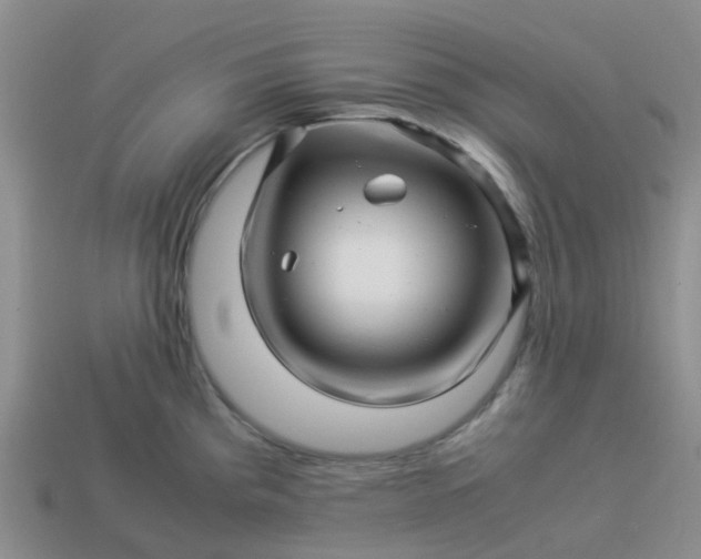 X0000113991193200910161639