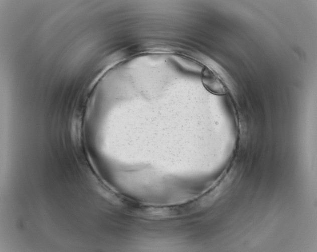 X0000113991194200910161639