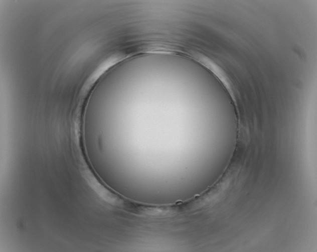 X0000113991195200910161639