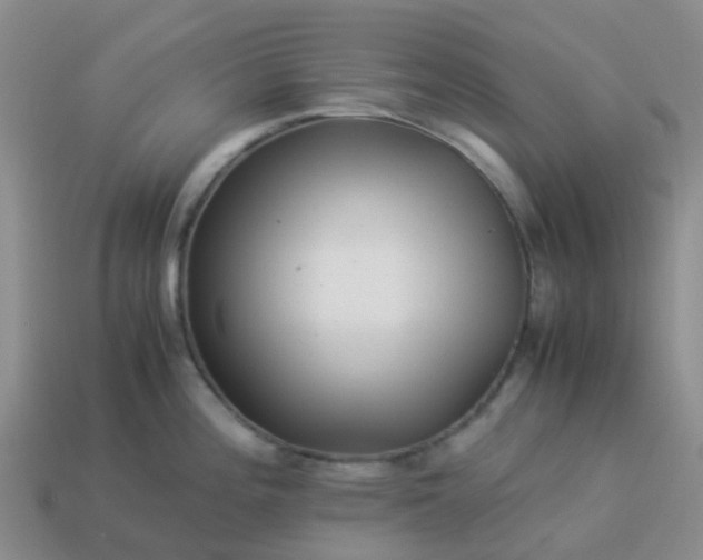 X0000113991196200910161639