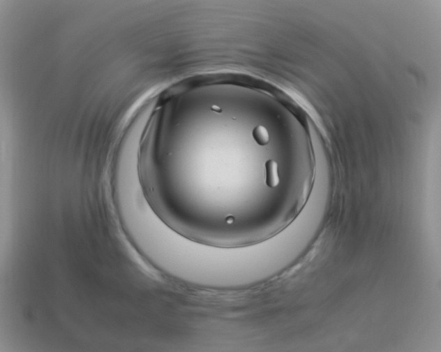 X0000113991197200910161639