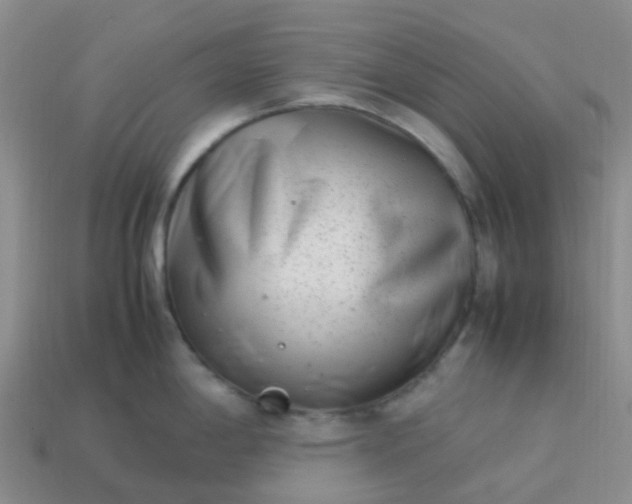 X0000113991198200910161639