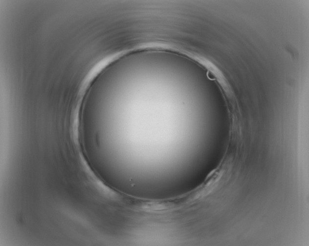 X0000113991199200910161639