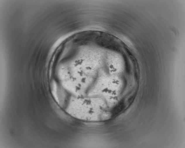 X0000113991200200910161639