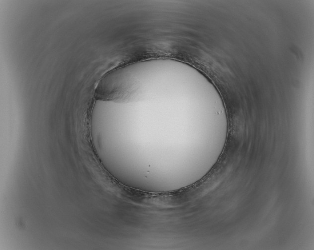 X0000113991201200910161638