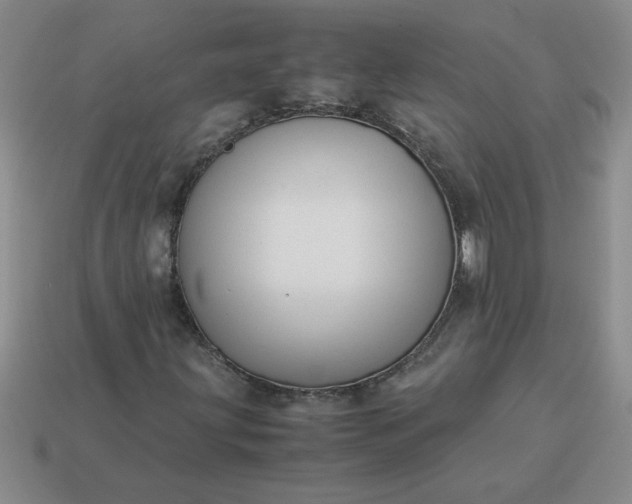 X0000113991203200910161638