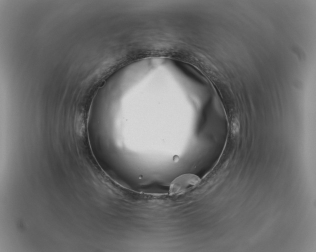 X0000113991204200910161638