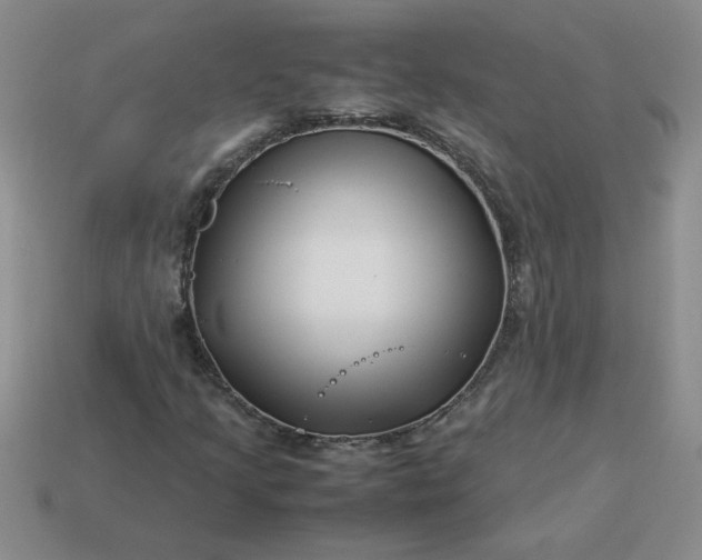 X0000113991205200910161638