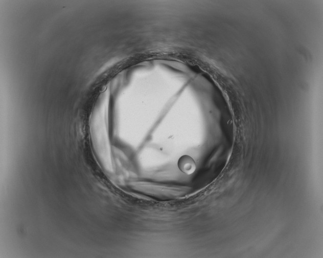 X0000113991206200910161638