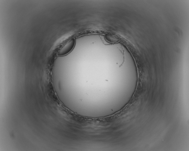 X0000113991207200910161638