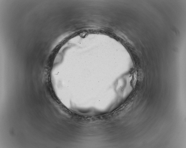 X0000113991208200910161639