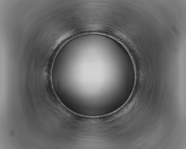 X0000113991210200910161639