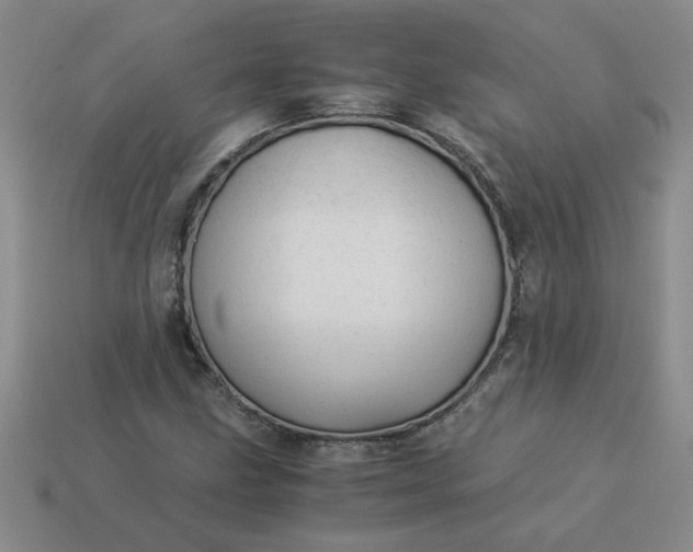 X0000113991211200910161639