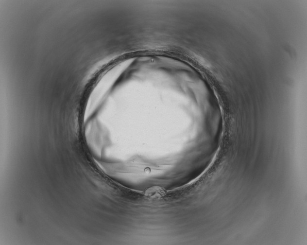 X0000113991214200910161639