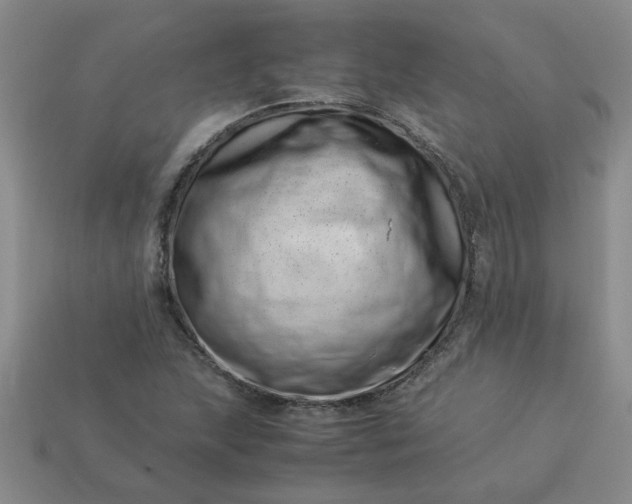 X0000113991215200910161639