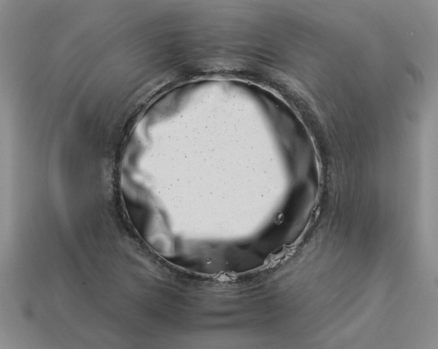 X0000113991217200910161639