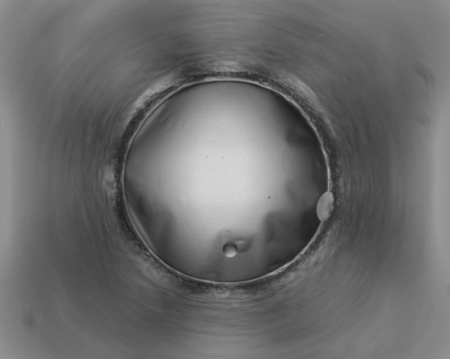 X0000113991218200910161639