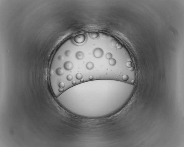 X0000113991220200910161639