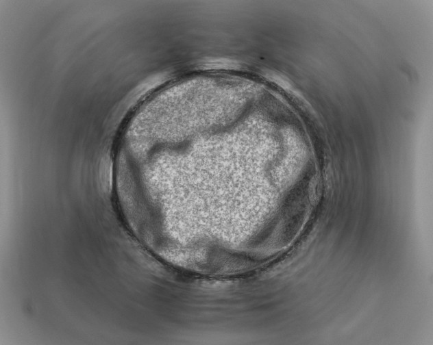 X0000113991221200910161639