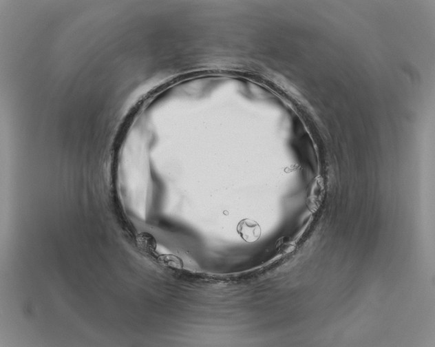 X0000113991222200910161639