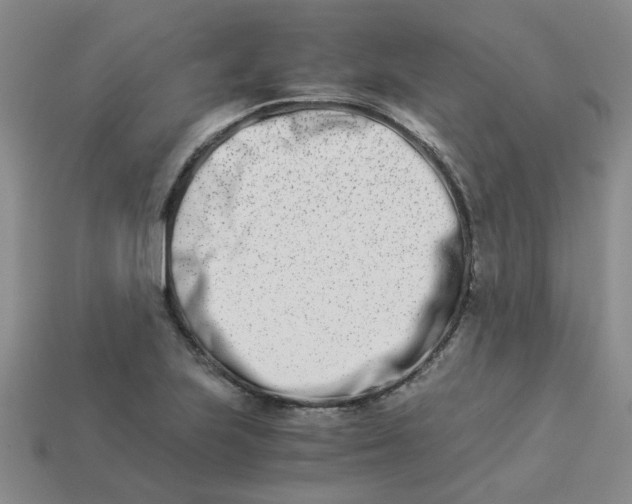 X0000113991223200910161639