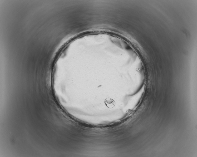 X0000113991224200910161639