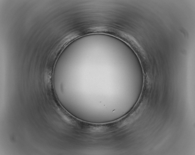 X0000113991225200910161639