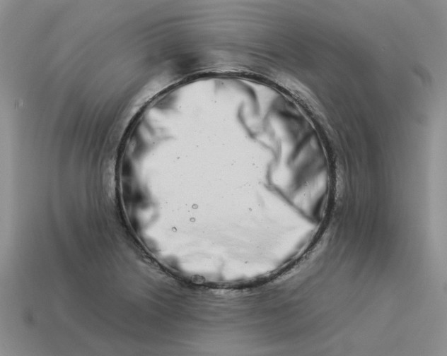 X0000113991226200910161639