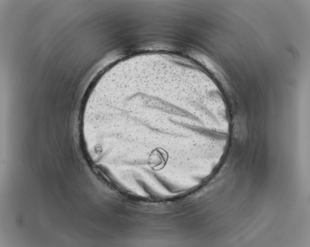 X0000113991229200910161639