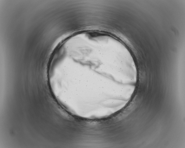 X0000113991230200910161639