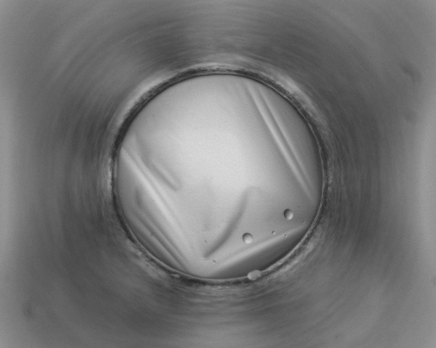 X0000113991232200910161639