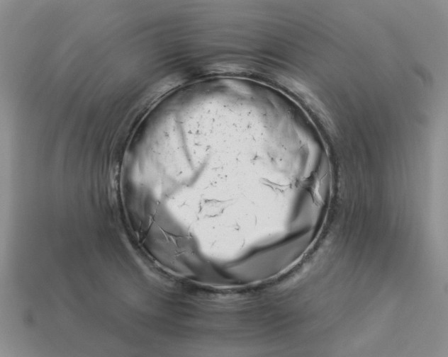 X0000113991233200910161639