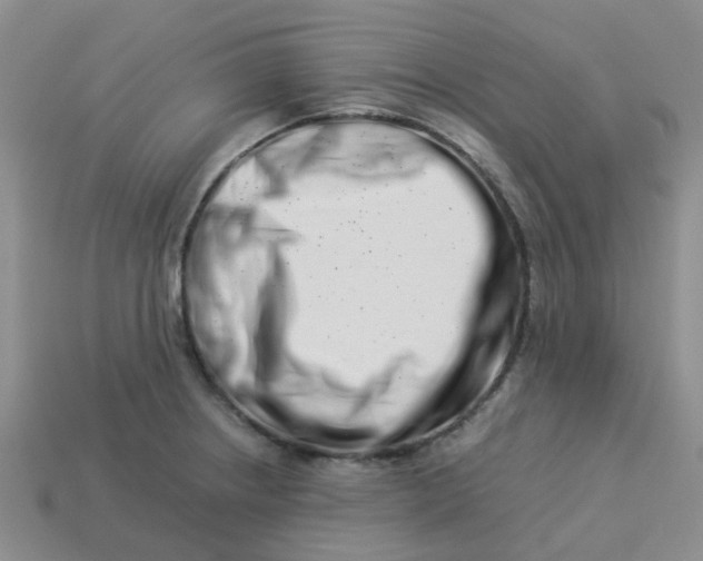 X0000113991234200910161639