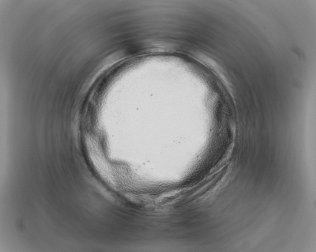 X0000113991235200910161639