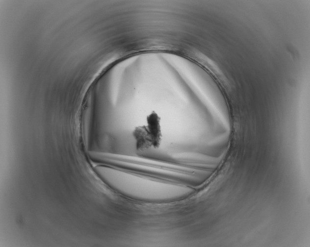 X0000113991236200910161639