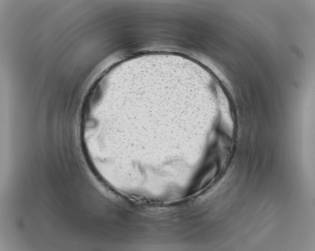 X0000113991237200910161639