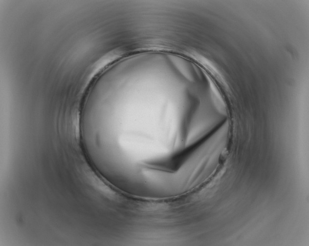 X0000113991238200910161639