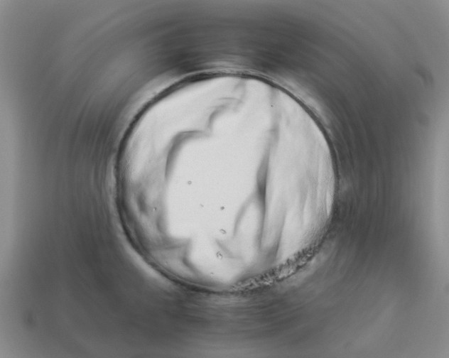 X0000113991239200910161639