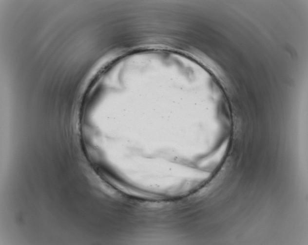 X0000113991240200910161639