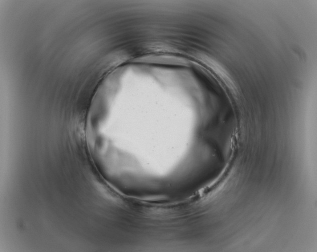 X0000113991241200910161639