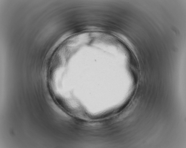 X0000113991243200910161639