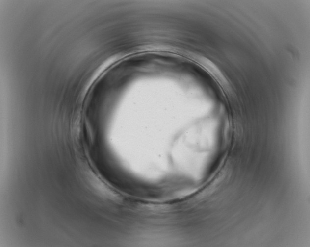 X0000113991244200910161639