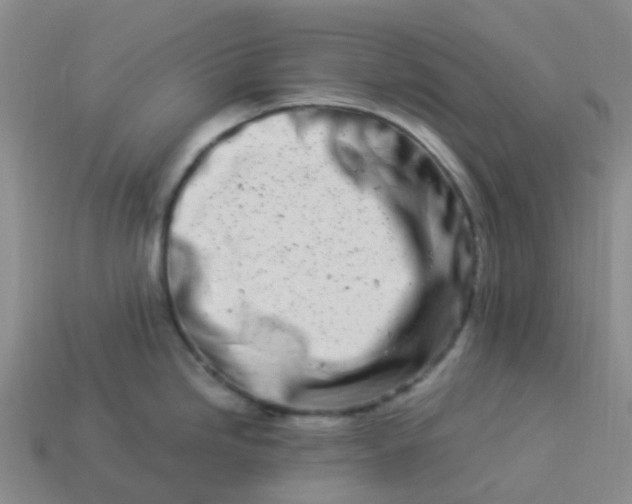 X0000113991246200910161639