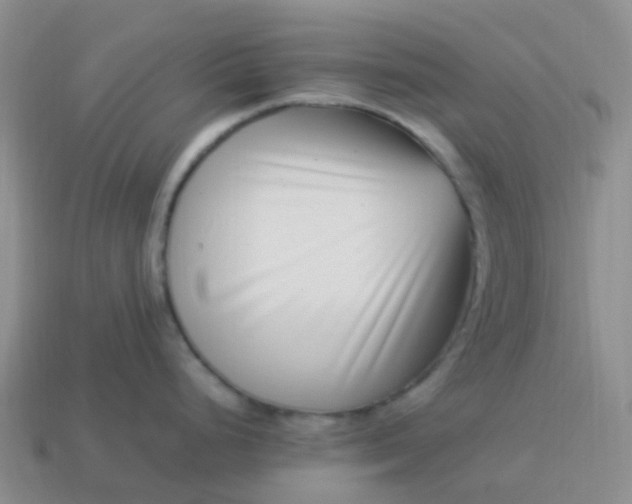 X0000113991248200910161639