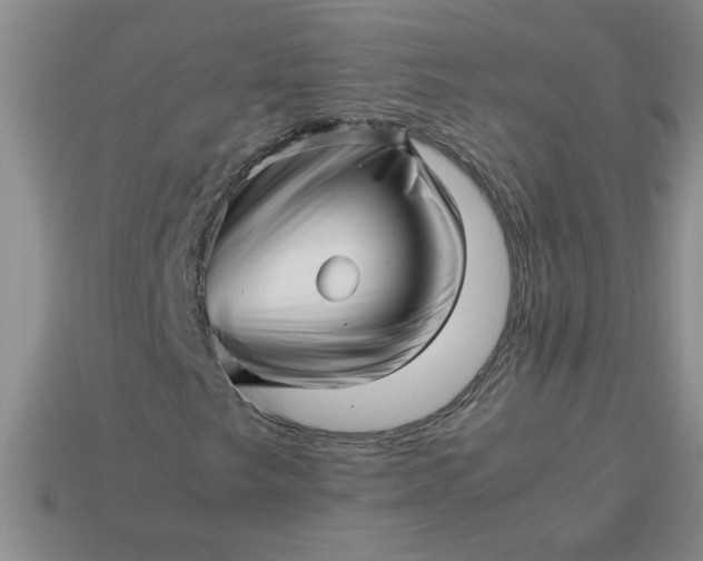 X0000113991249200910161638