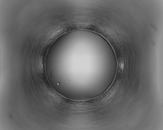 X0000113991252200910161638