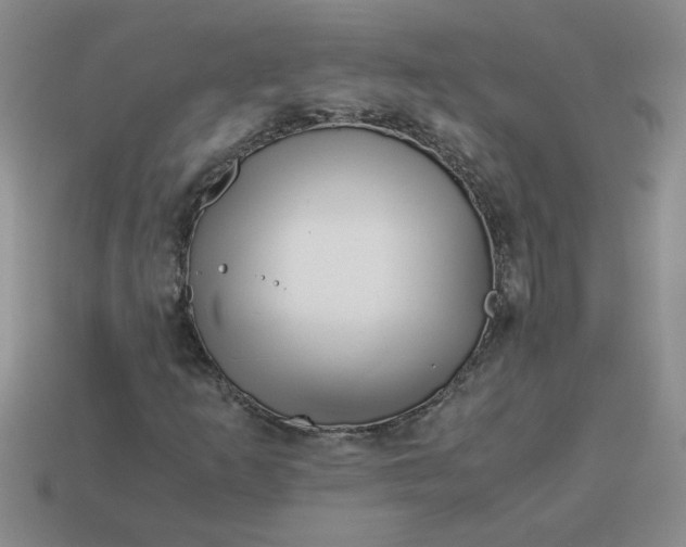 X0000113991253200910161638