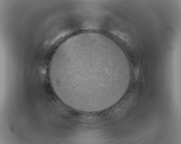 X0000113991254200910161638